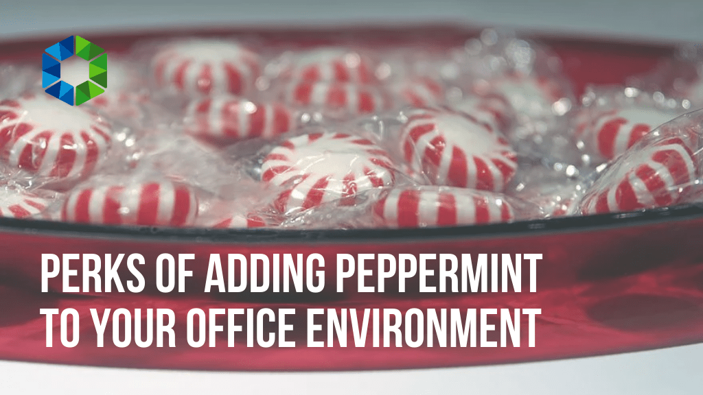 Perks of Adding Peppermint to Your Office Environment